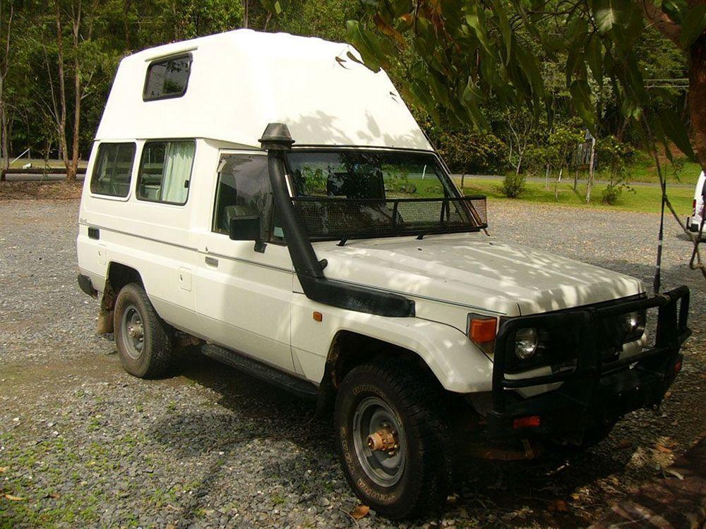 Daintree Wild Bed & Breakfast Extérieur photo