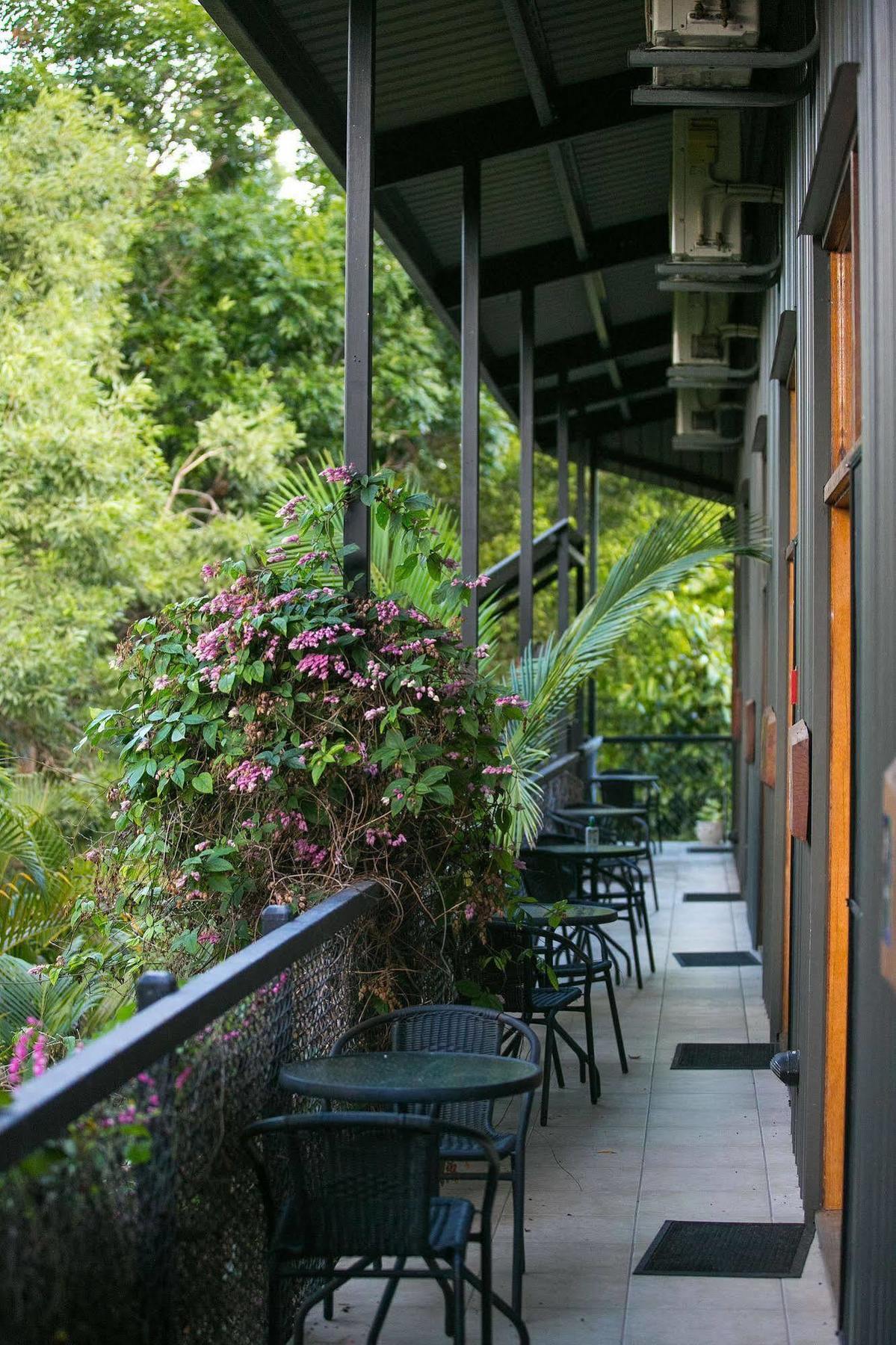 Daintree Wild Bed & Breakfast Extérieur photo
