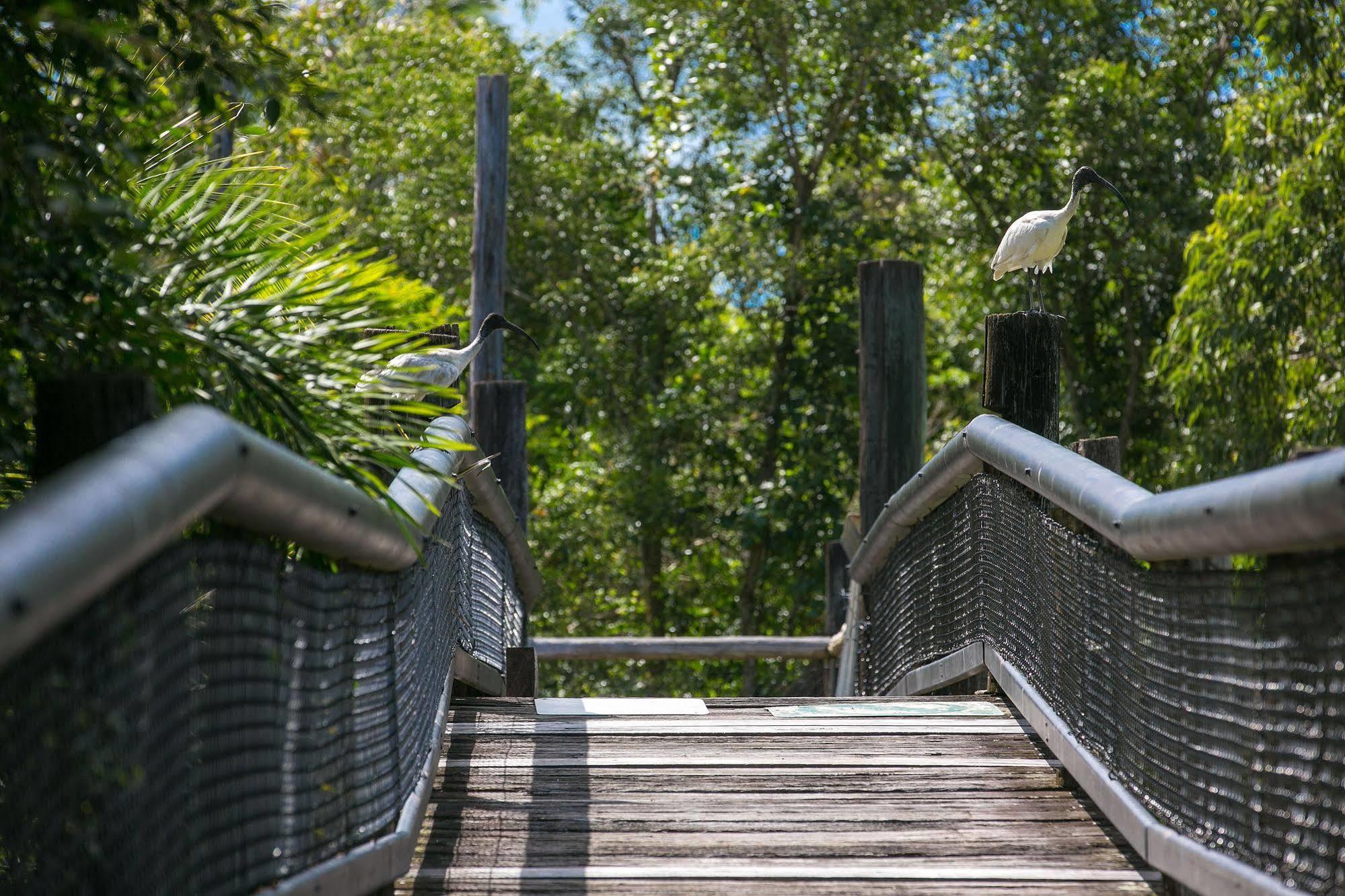 Daintree Wild Bed & Breakfast Extérieur photo